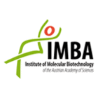 IMBA-Institut für Molekulare Biotechnologie GmbH