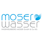 Ingenieurbüro Moser GmbH & Co KG