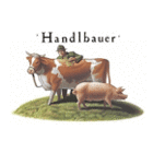 Handlbauer Betriebs- und Verwaltungs- GmbH