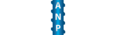 ANP-Systems GmbH Logo