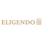 ELIGENDO Executive Search