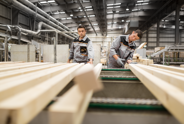 HS Timber Group GmbH Bild 2