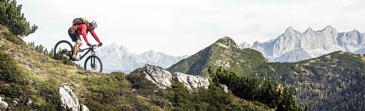 Titelbild der Firma PULSE Engineering GmbH