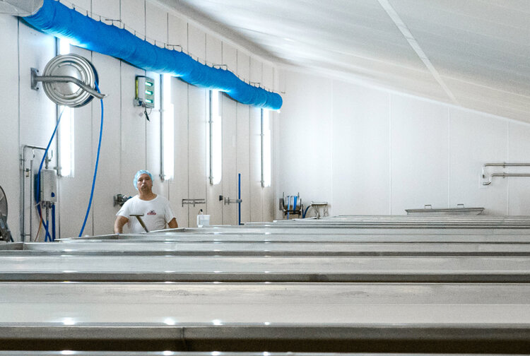 Nordex Käserei Ges.m.b.H. Bild 6