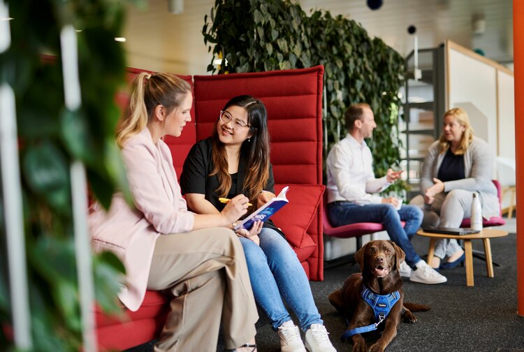 Mars Austria OG Bild 4