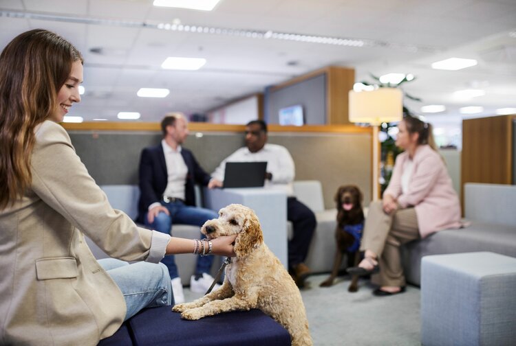 Mars Austria OG Bild 7