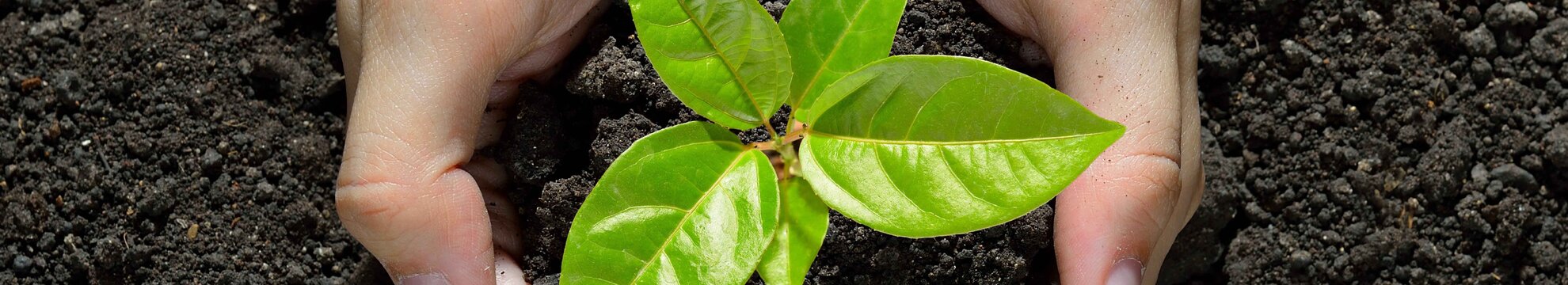 Vereinigung von Ordensschulen Österreichs