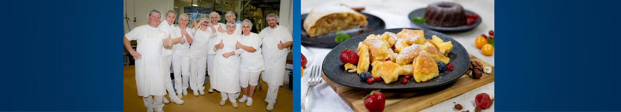 Meisterfrost Tiefkühlkosterzeugungs- Gesellschaft m.b.H.