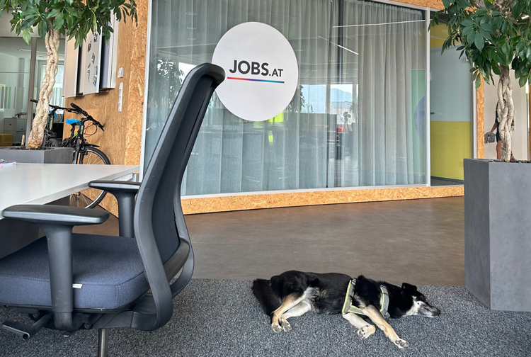 jobs.at Recruiting GmbH Bild 4