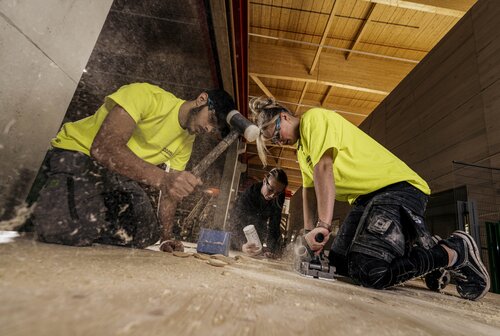 HASSLACHER NORICA TIMBER