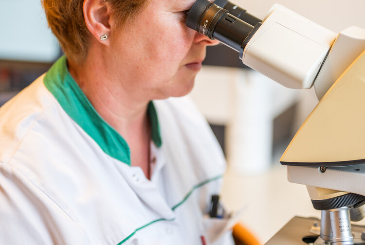 Klinikum Bad Hall Bild 2