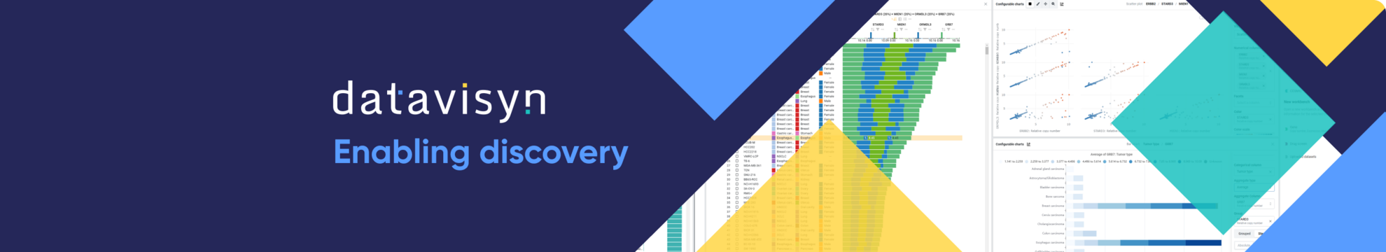 datavisyn