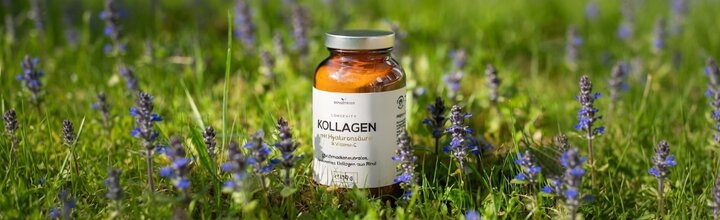 Titelbild der Firma SAN-U-VIT GmbH