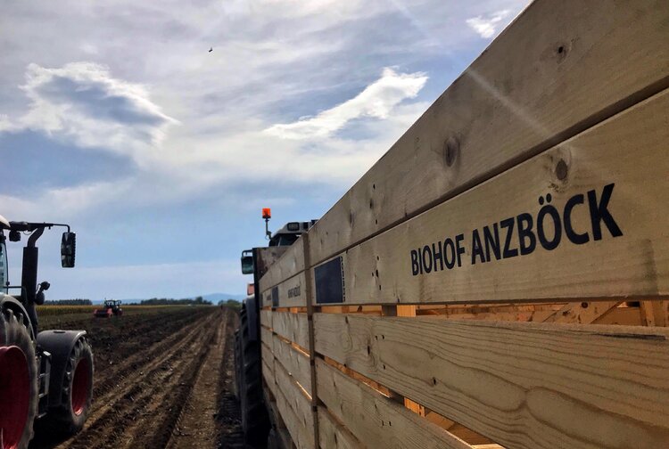 Biohof Anzböck GmbH Bild 1