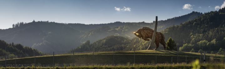 Titelbild der Firma Mateschitz Group