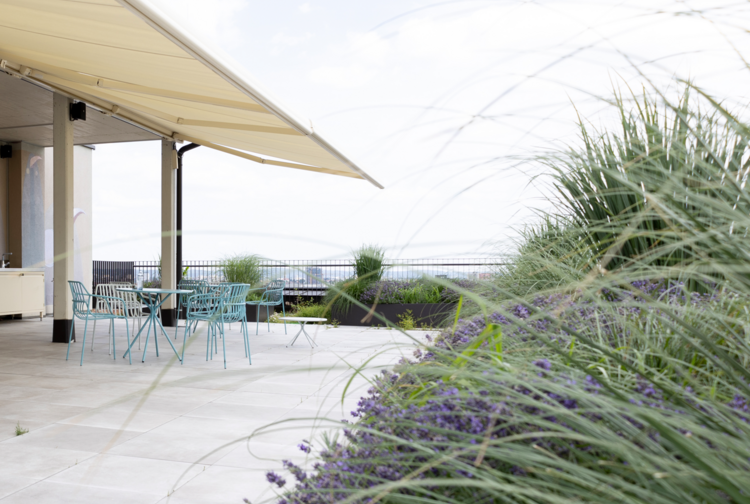 wirecube x shopreme Bild 7