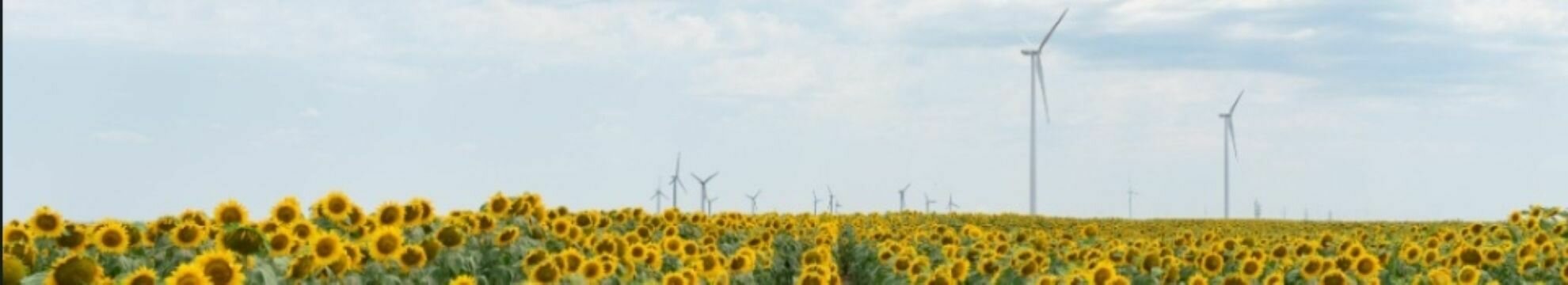 Enery Development GmbH