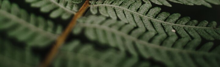 Titelbild der Firma Holzkern - Time for Nature GmbH