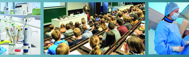 Titelbild der Firma Medizinische Universität Innsbruck