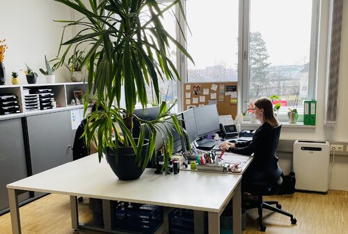 GC Linz Haustechnik KG