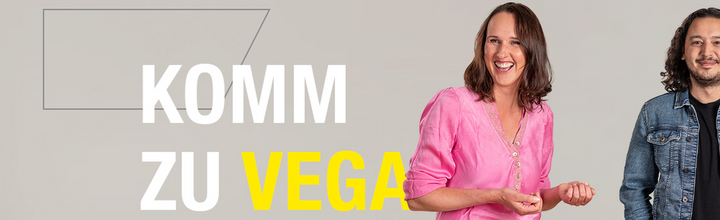 Titelbild der Firma VEGA Austria GmbH