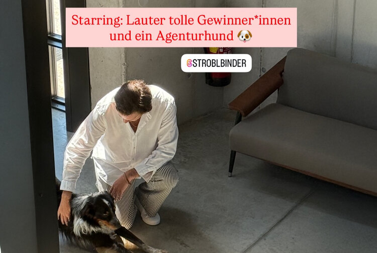 stroblbinder GmbH Bild 5