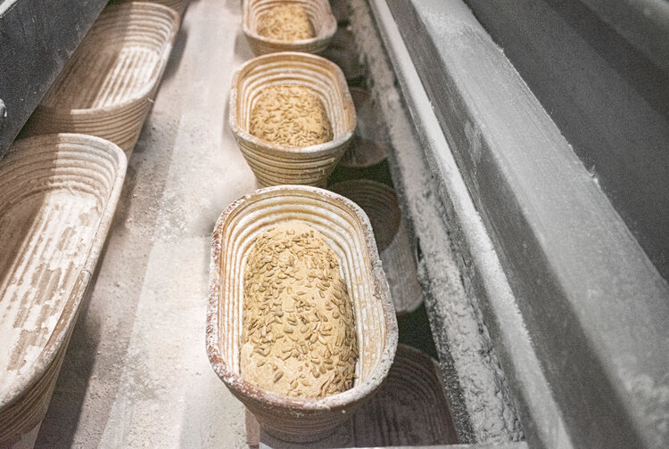 Fischer Brot GmbH Bild 2