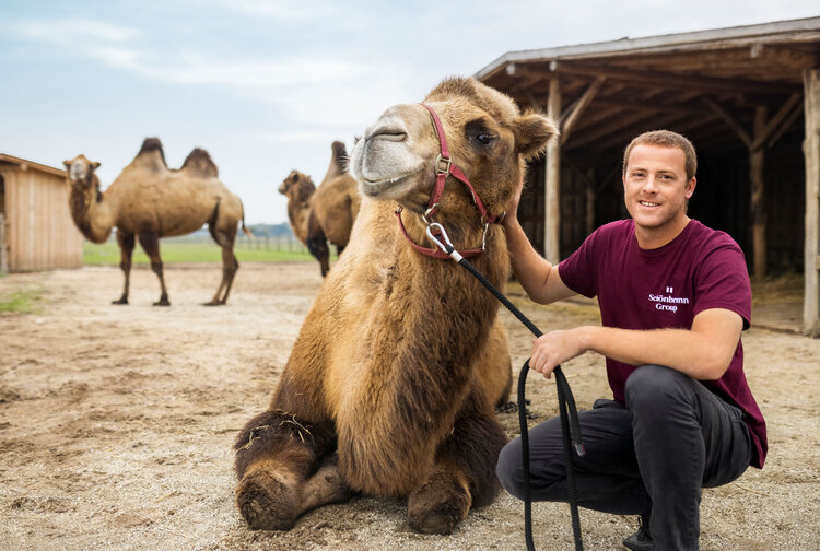 Schönbrunn Group Bild 2