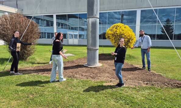 Regelmäßige Initiativen zur Förderung des
Umweltbewusstseins