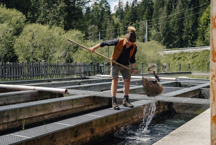 Fischerei Ausseerland Bild 3