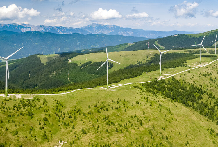 Österreichische Bundesforste AG Bild 3