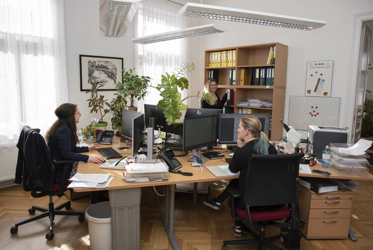 AUDITA Steuerberatung und Wirtschaftsprüfung GmbH Bild 2