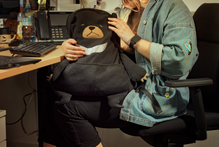 Wiener Hilfswerk Bild 8