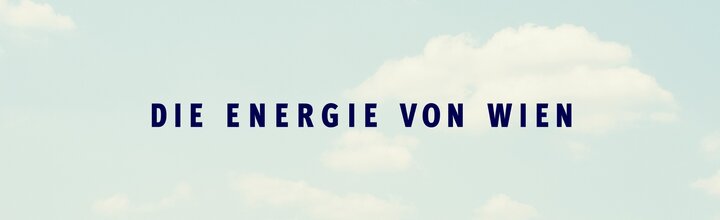 Titelbild der Firma Wien Energie GmbH