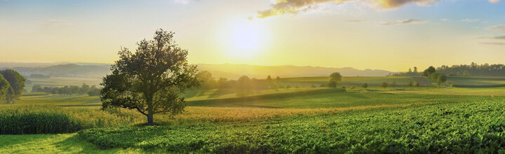 Titelbild der Firma Landwirtschaftskammer Oberösterreich