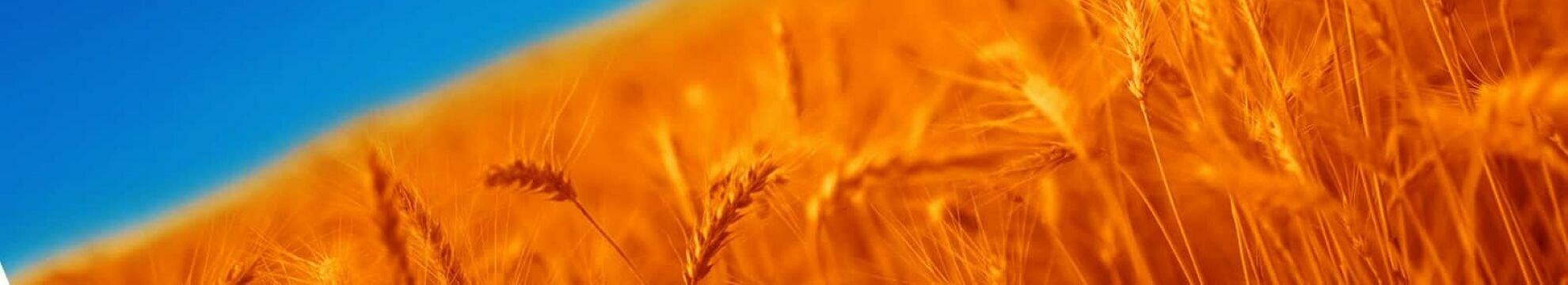 VA Intertrading Aktiengesellschaft