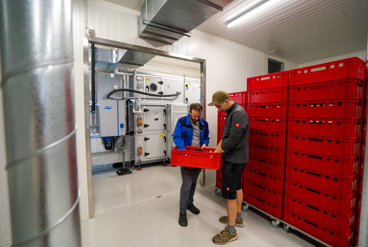 REPLOID Group AG Bild 1