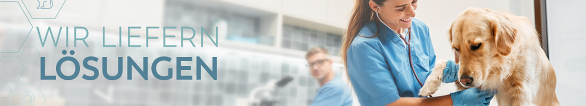 Visiovet Medizintechnik GmbH