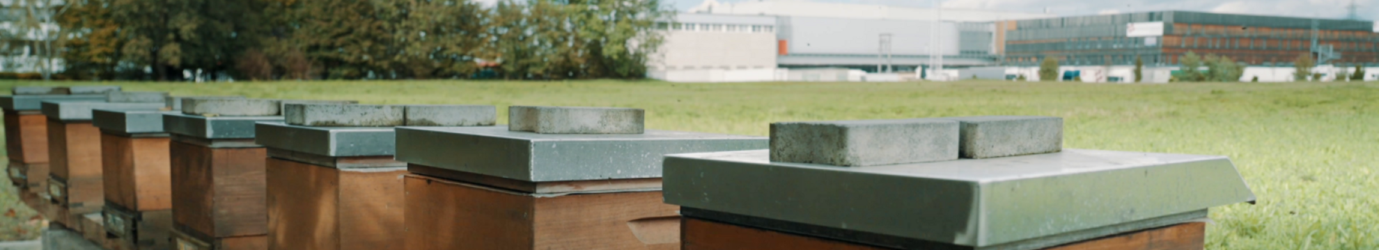 SCHACHINGER logistik service GmbH