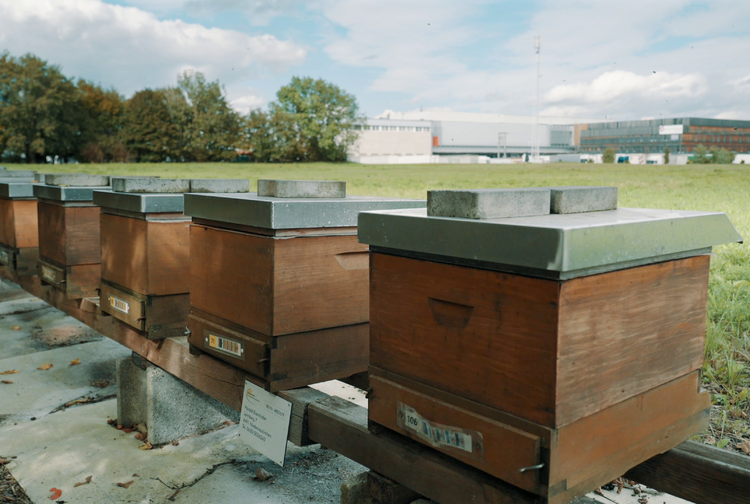 SCHACHINGER logistik service GmbH Bild 5