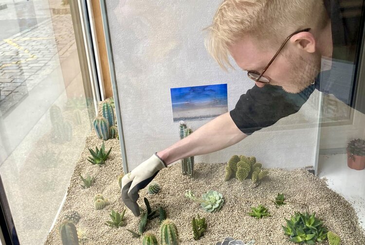 Der Botaniker - David Schlager e.U. Bild 2