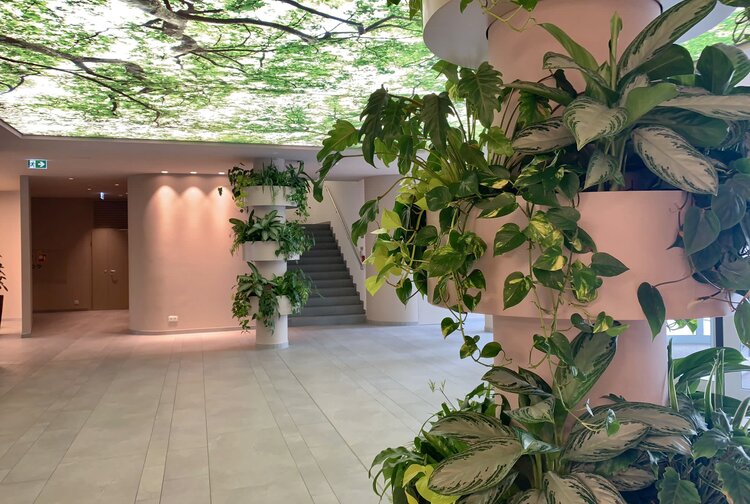 Der Botaniker - David Schlager e.U. Bild 5