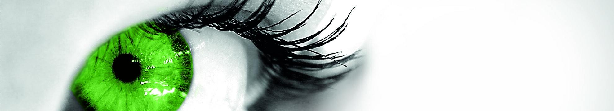 Danner Hermann Franz Josef