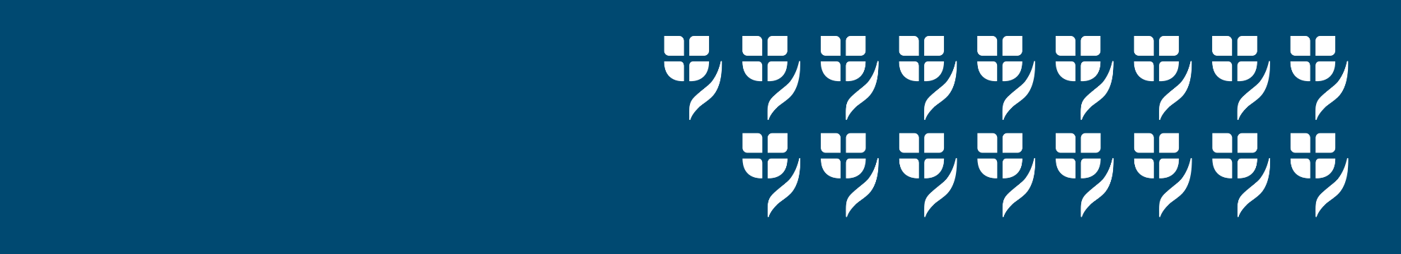 VIG IT - Digital Solutions GmbH