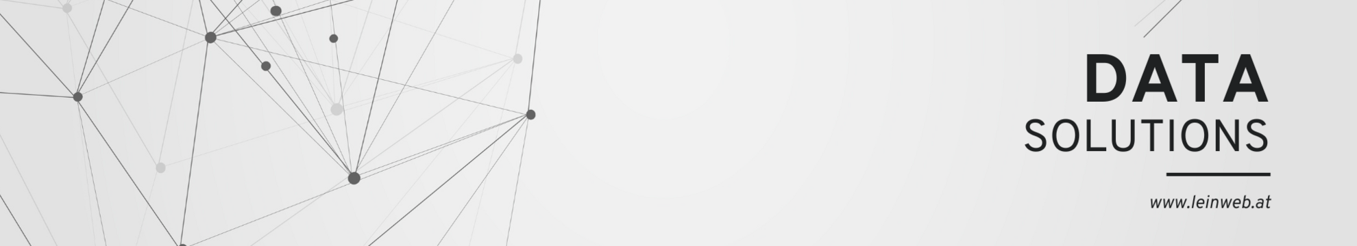 Leinweb Data Solutions e.U.