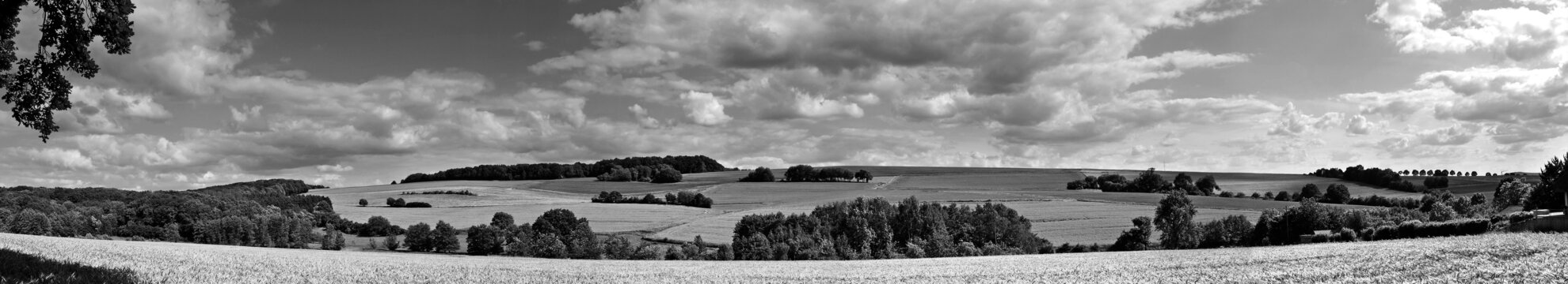 REX Speisen Manufaktur GmbH