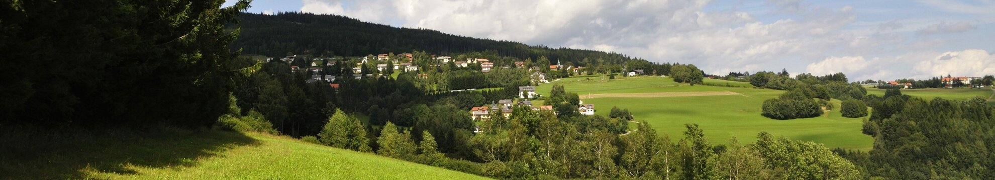 Verein Grüner Kreis
