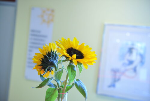 Diagnosticum Dr. Sochor & Partner Gersthof , Institut für MRT und CT