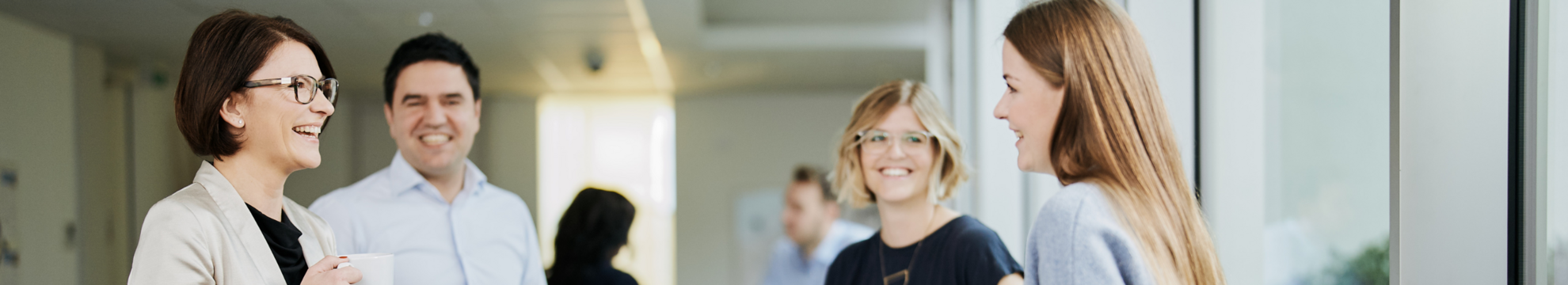 ICON Wirtschaftstreuhand GmbH