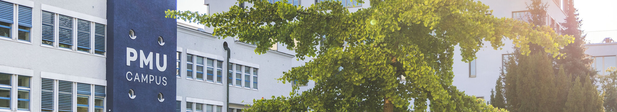 Paracelsus Medizinische Privatuniversität – Privatstiftung